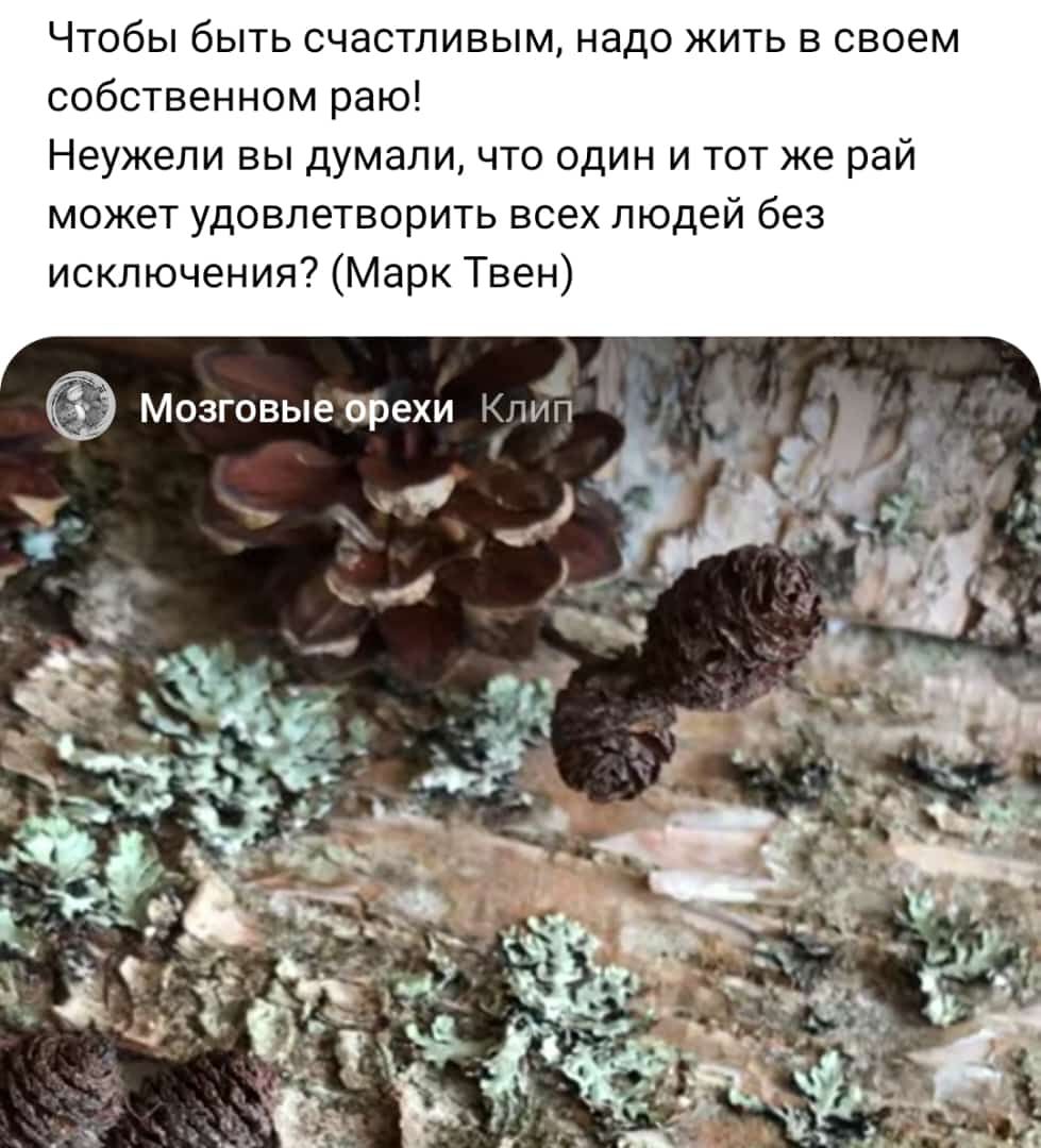 Чтобы быть счастливым надо жить в своем собственном раю Неужели выдумали что один и тот же рай может удовлетворить всех людей без исключения Марк Твен
