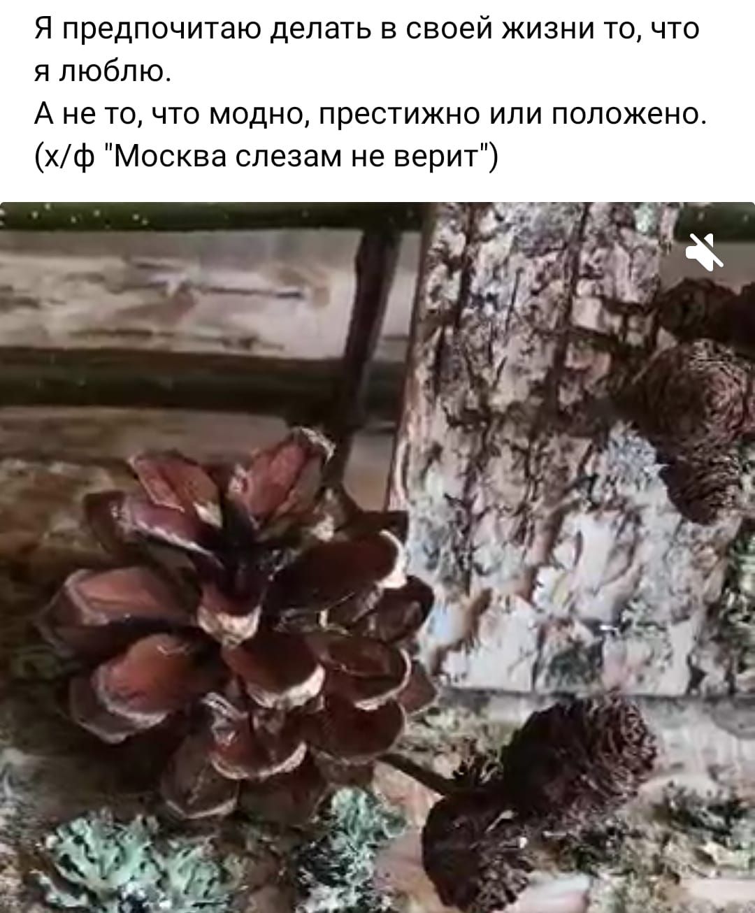Я предпочитаю делать в своей жизни то что я люблю А не то что модно престижно или положено ф Москва слезам не верит