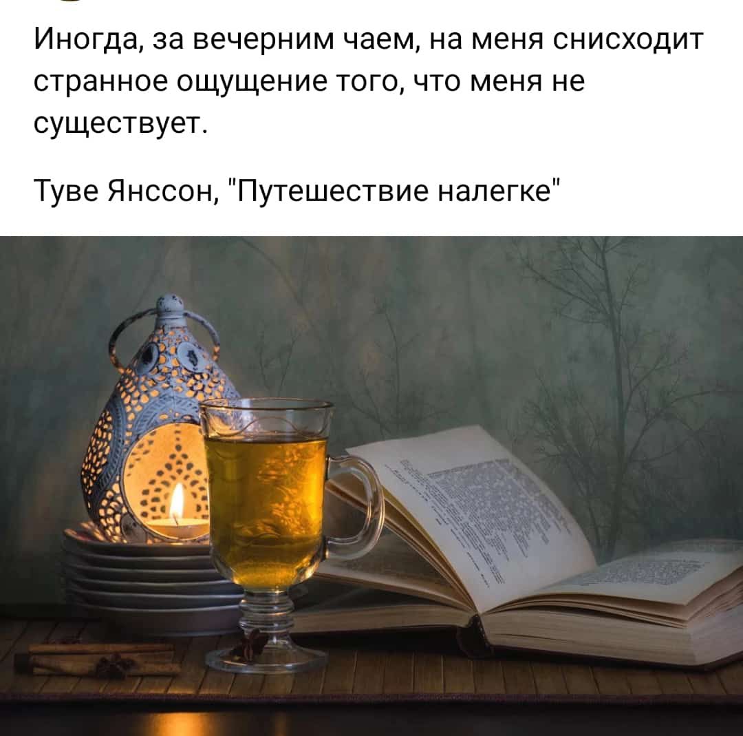 Иногда за вечерним чаем на меня снисходит странное ощущение ТОГО ЧТО МЕНЯ не существует Туве Янссон Путешествие налегке