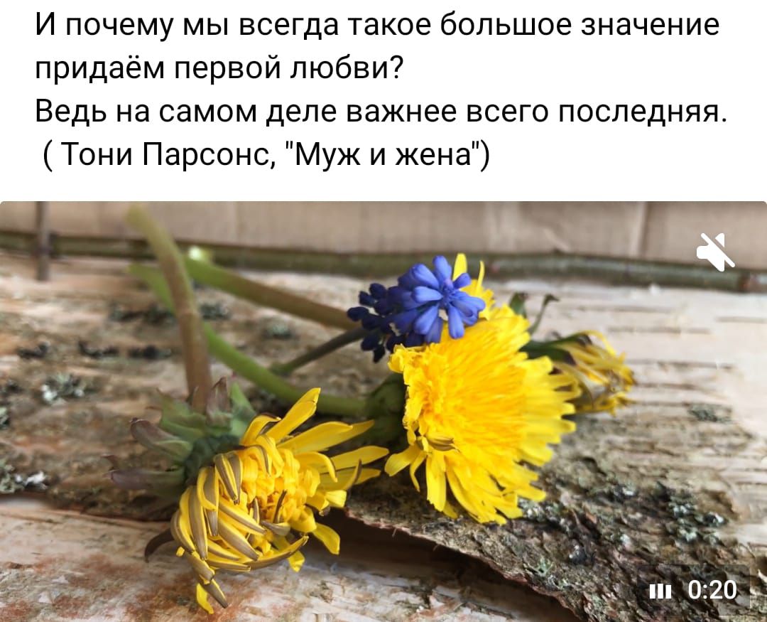И почему мы всегда такое большое значение придаёт первой любви Ведь на самом деле важнее всего последняя Тони Парсонс Муж и жена