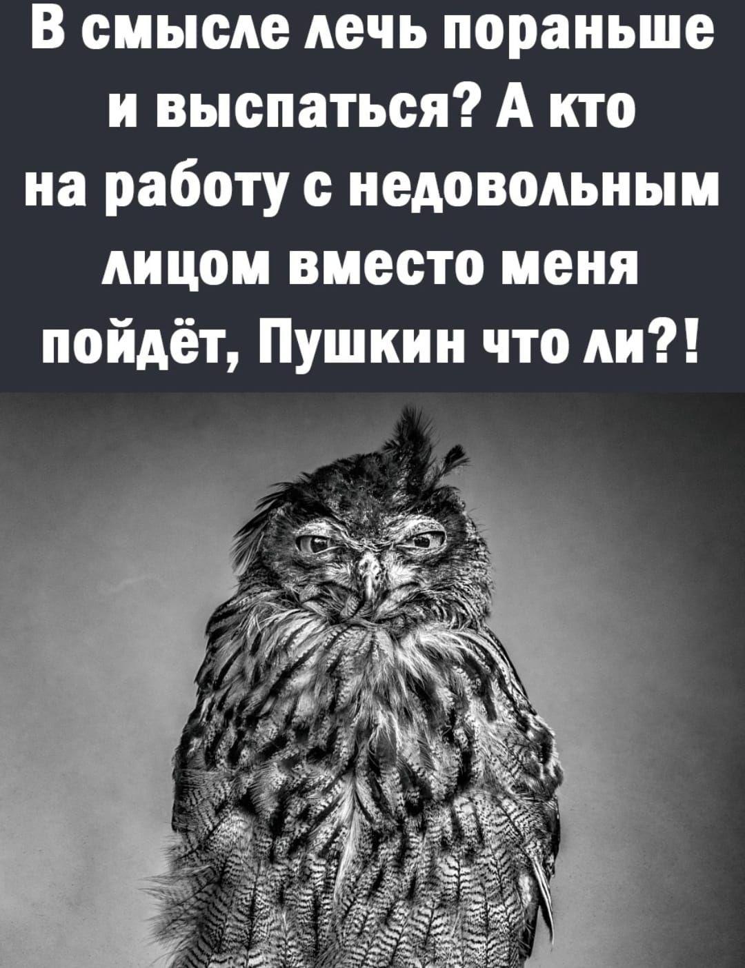 В смысле лечь пораньше и выспаться А кто на работу недовольным лицом вместо меня пойдёт Пушкин что ни