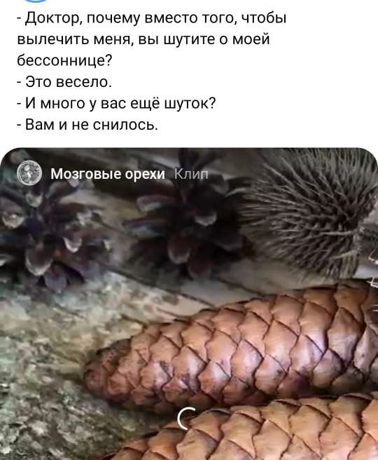 _ Доктор почему вместо тогочтобы вылечить мена вы шутите с моей бессоннице _ Это весело И много у вас еще шуток Вам и не снилось Мозговые орехи и п