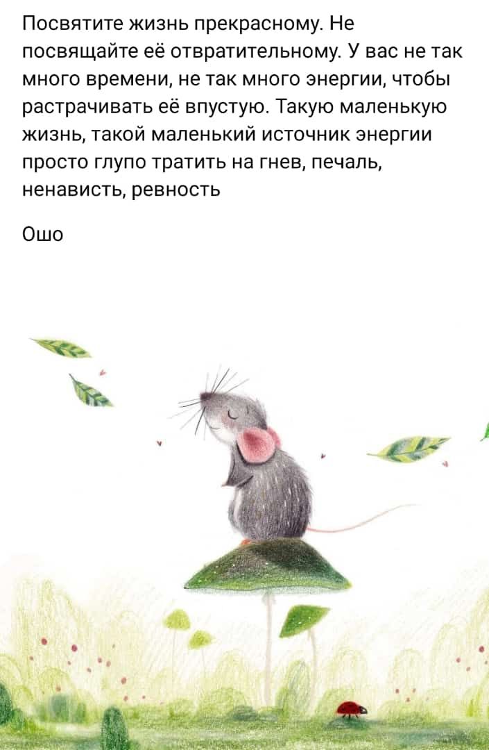 Посвятите жизнь прекрасному Не посвящайте её отвратительному У вас не так много времени не так много энергии чтобы растрачивать её впустую Такую маленькую жизнь такой маленький источник энергии просто глупо тратить на гнев печаль ненависть РЕЕНВСТЬ Ошо