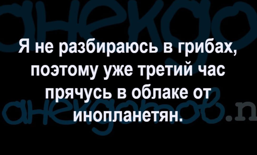 Я не разбираюсь в грибах поэтому уже третий час прячусь в облаке от инопланетян