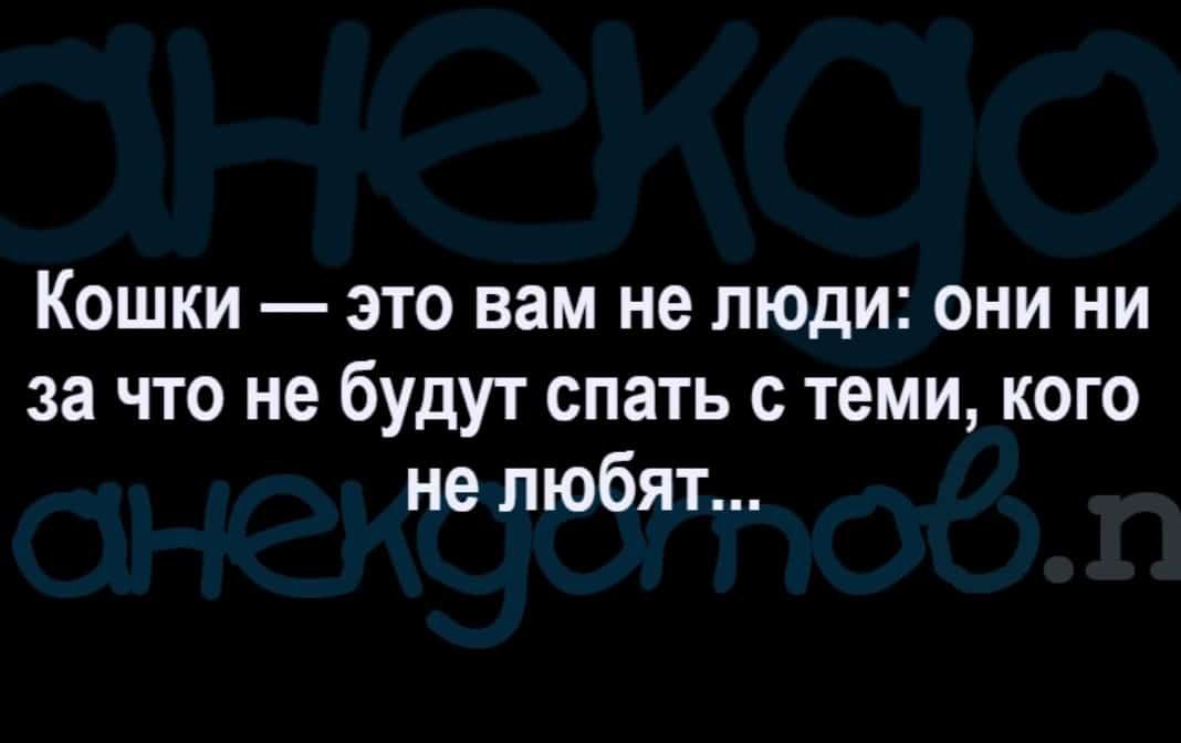 Кошки это вам не люди они ни за что не будут спать с теми кого не любят