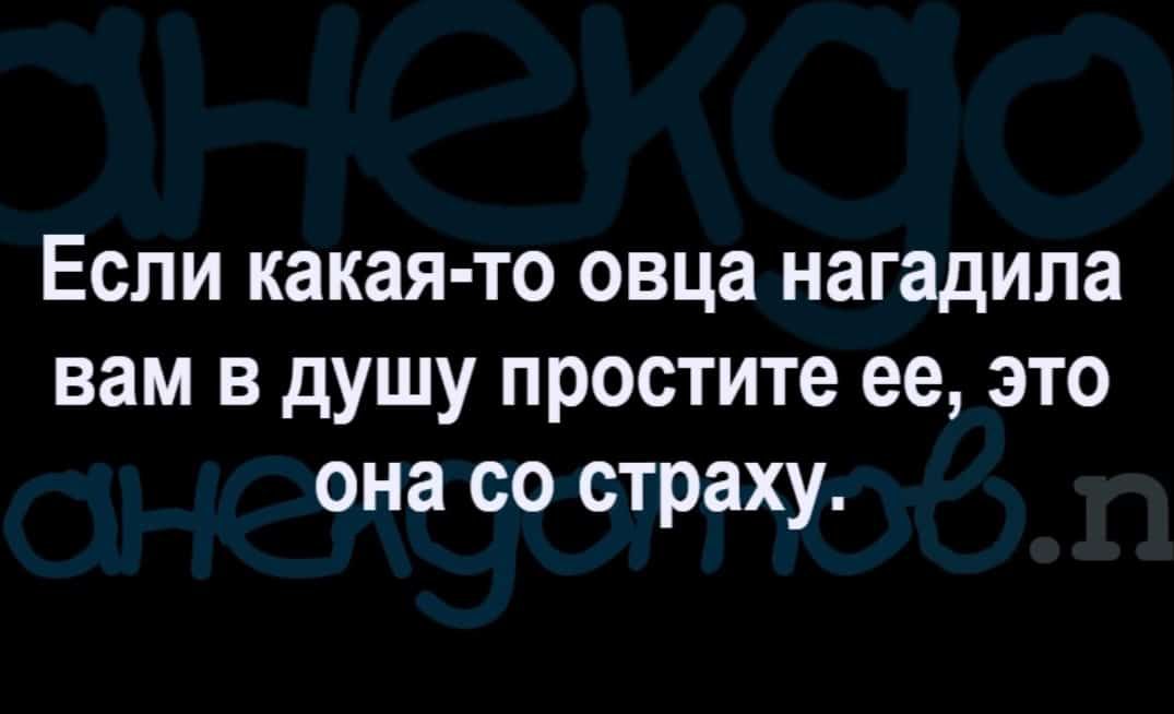 Если какая то овца нагадипа вам в душу простите ее это она со страху