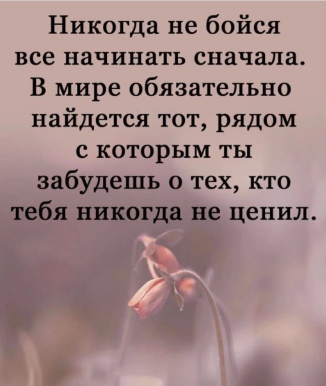 Никогда не бойся все начинать сначала В мире обязательно найдется тот рядом с которым ты забудешь о тех кто тебя никогда не ценил