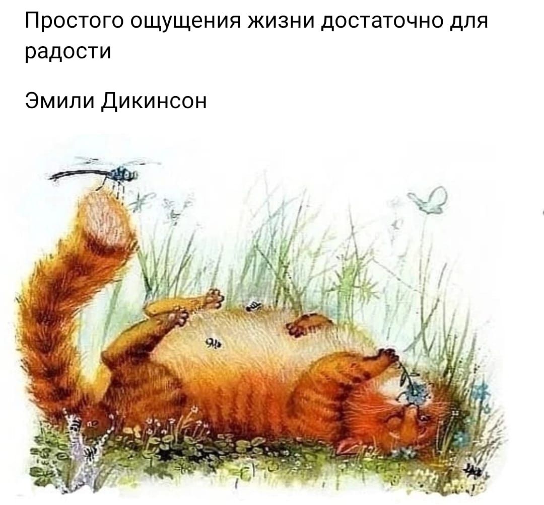 ПРОСТОГО ОЦУЩЕНИЯ ЖИЗНИ дОСТВТОЧНО ДЛЯ радости Эмили Дикинсон