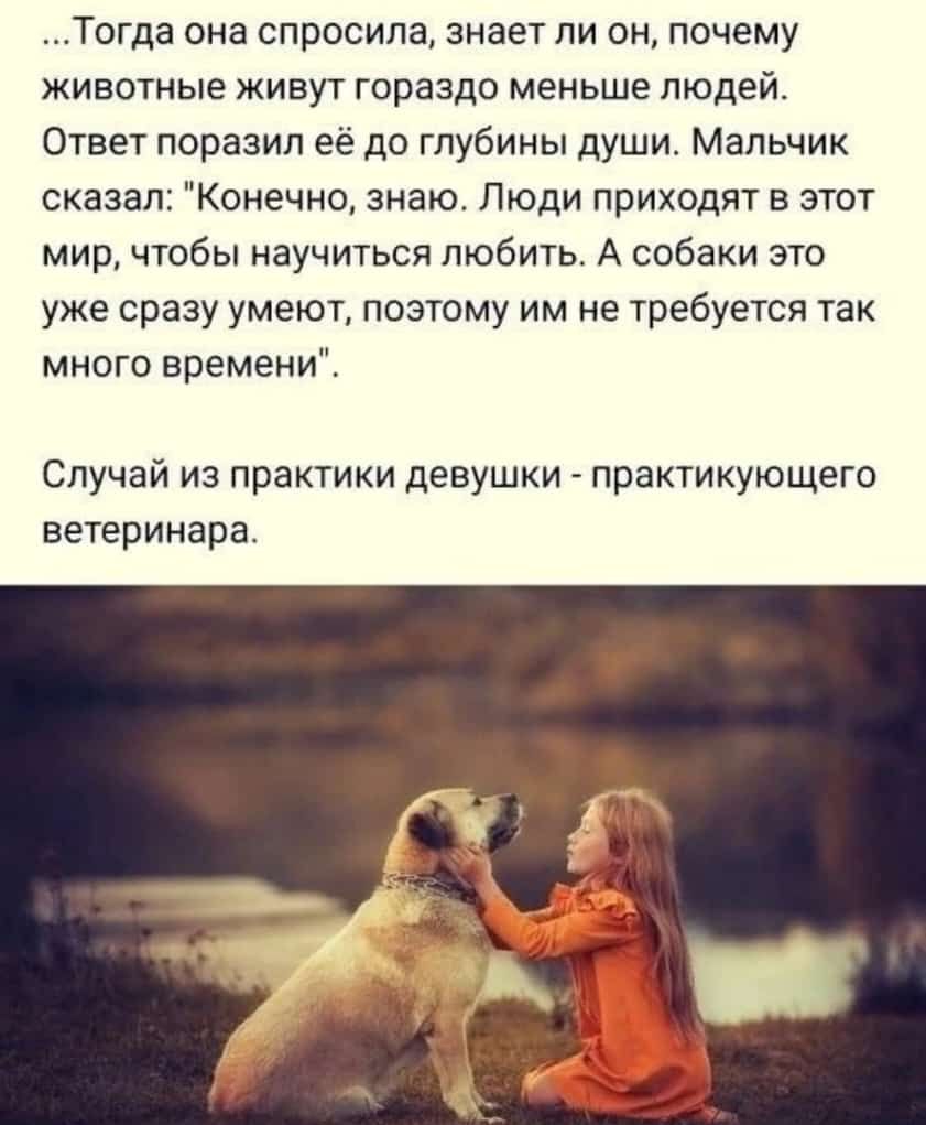 Тогда она спросила знает пи он почему животные живут гораздо меньше людей Ответ поразил ее до глубины души Мальчик сказал Конечно знаю Люди приходят в этот мир чтобы научиться любить А собаки это уже сразу умеют поэтому им не требуется так много времени Случай из практики девушки практикующего ветеринара