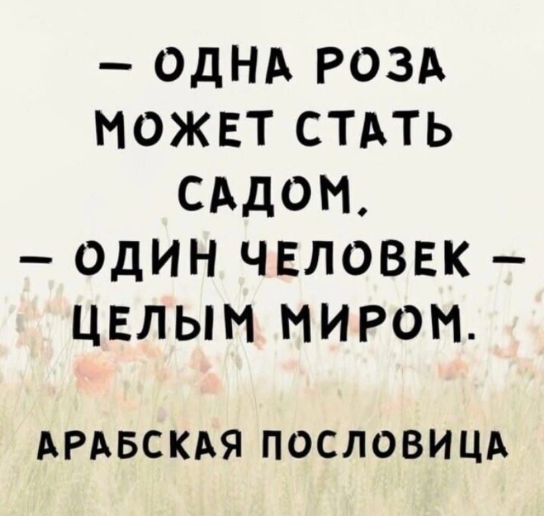 ОДНА РОЗА МОЖЕТ СТАТЬ САДОН ОДИН ЧЕЛОВЕК ЦЕЛЫН ИИРОН АРАБСКАЯ ПОСЛОВИЦА