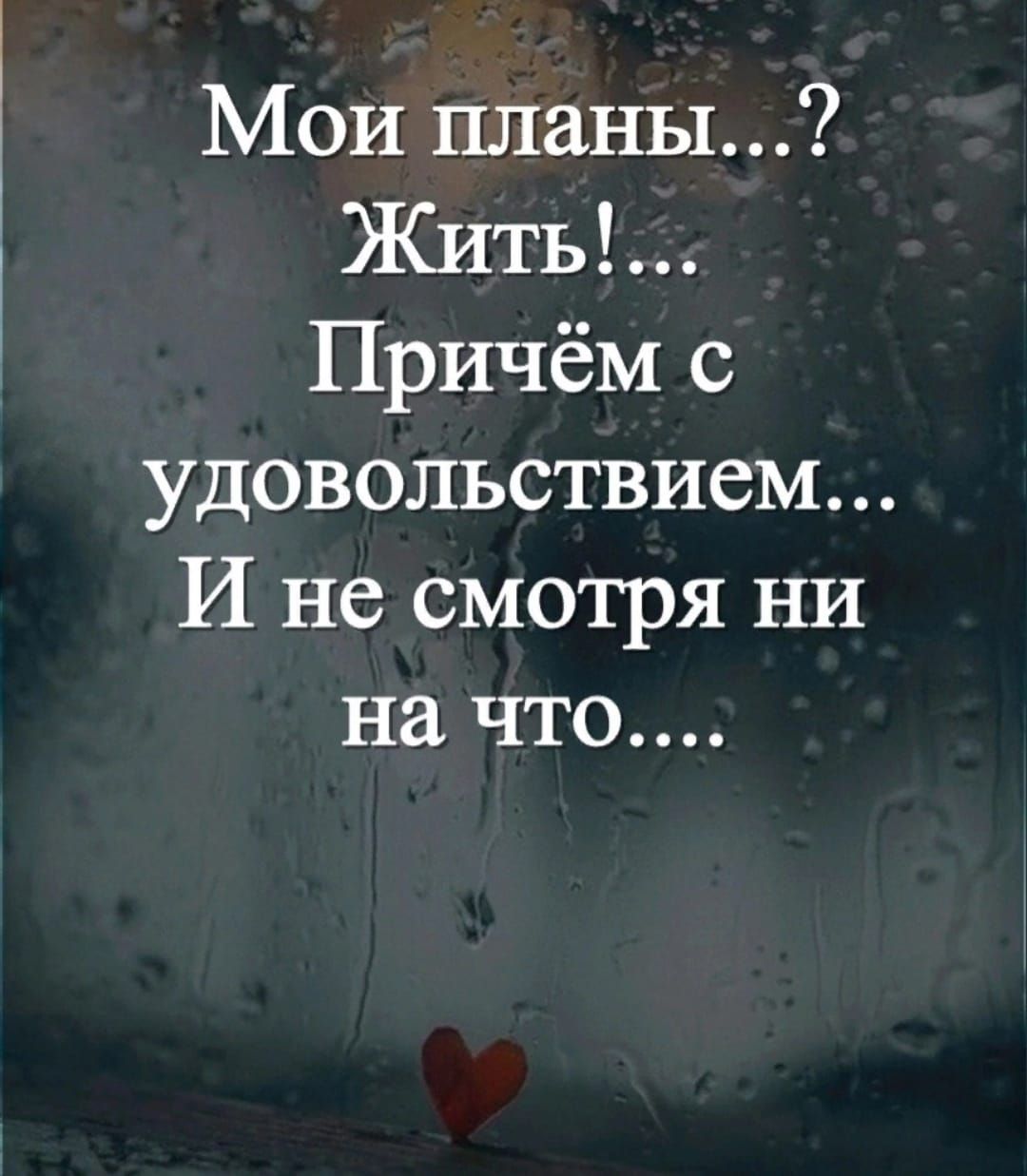 Мои планы Жить Причём с удовольствием И не смотря ни на что