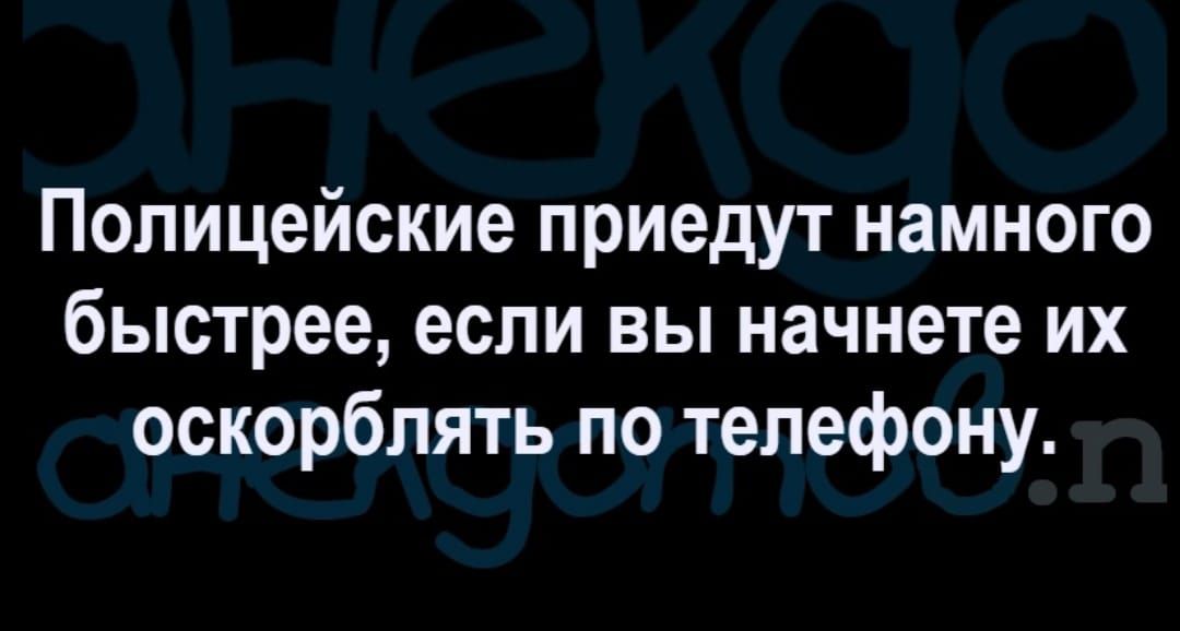 Полицейские приедут намного быстрее если вы начнете их оскорблять по телефону