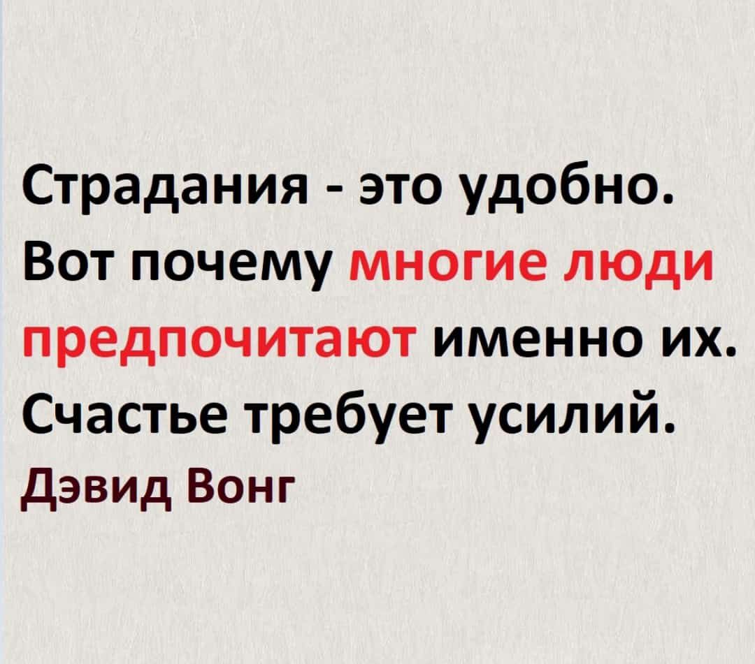 Зачем ругаться с соседями просто посади кустик картинка