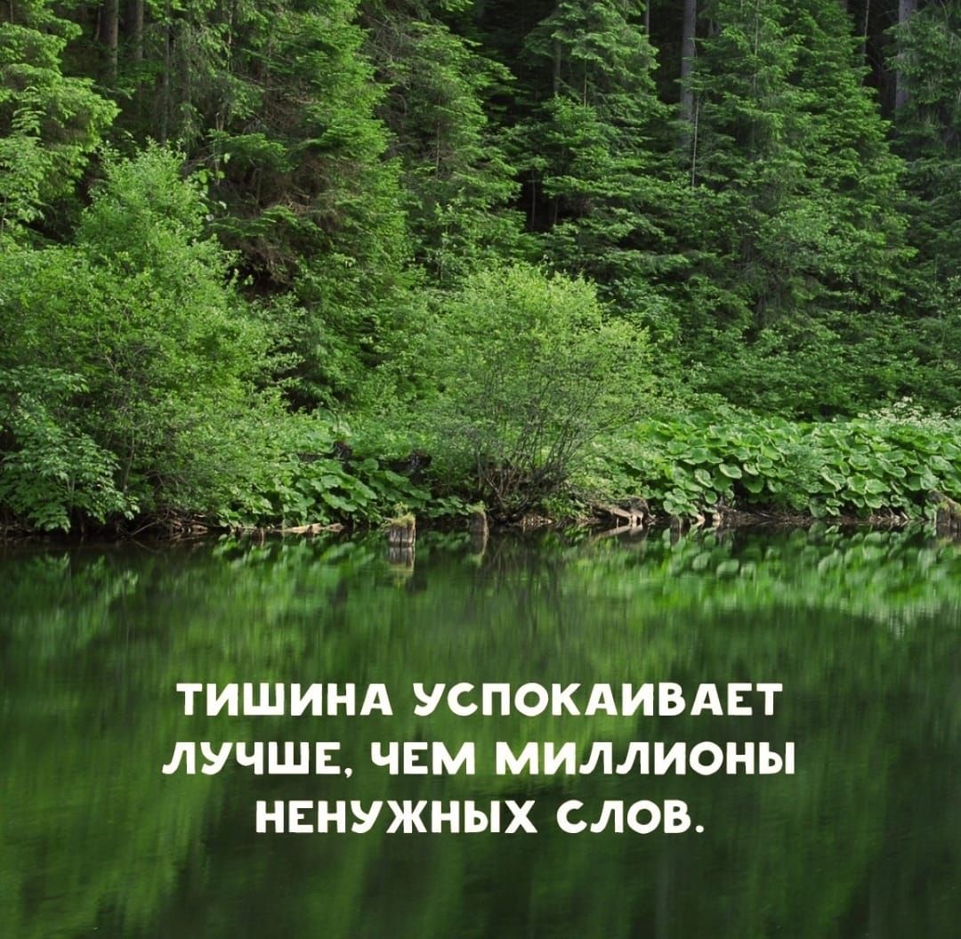 ТИШИНА УСПОМИВАЕТ ЛУЧШЕ ЧЕМ ЛЛИОНЫ НЕНУЖНЫХ СЛОВ