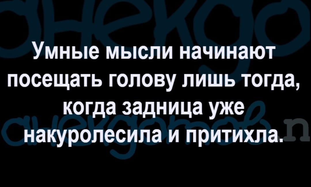 Умные мысли начинают посещать голову лишь тогда когда задница уже накуролесила и притихла