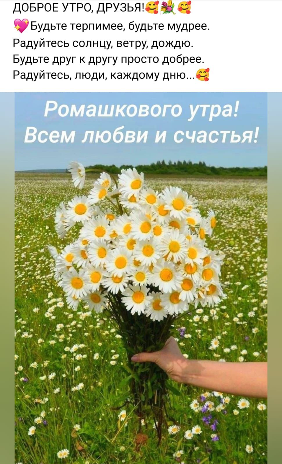 ДОБРОЕ утро друзьям ъ Будые терпимае будьте мудрее Радуйтесь солнцу ветру дождю Будьте друг другу просто добрее Радуйтесь люди каждому дню