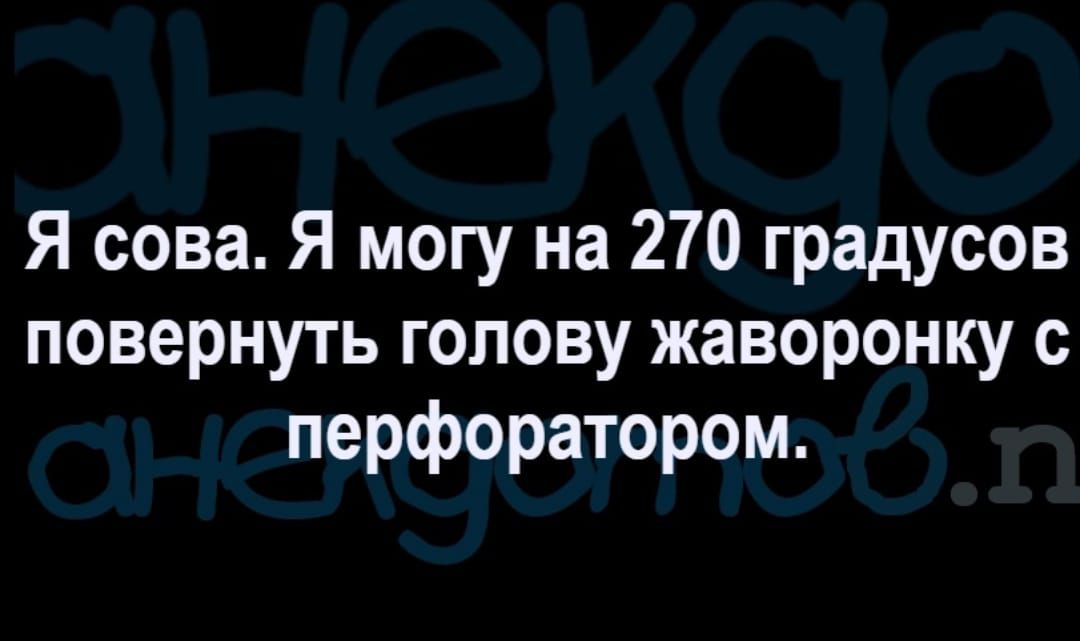 Я сова Я могу на 270 градусов повернуть голову жаворонку с перфоратором