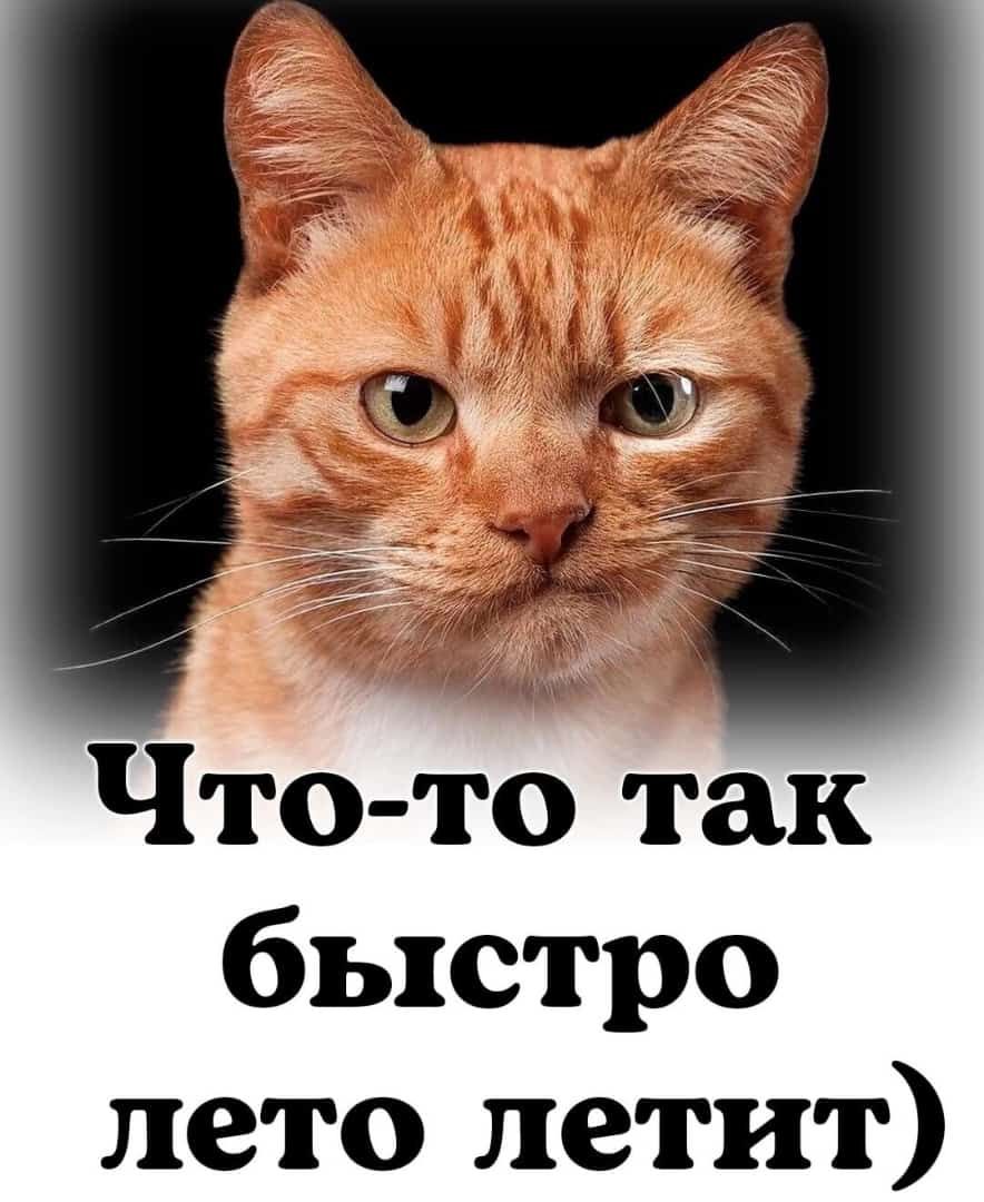 Что то так быстро лето летит