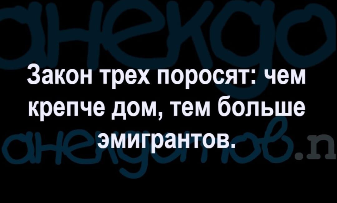 Закон трех поросят чем крепче дом тем больше эмигрантов
