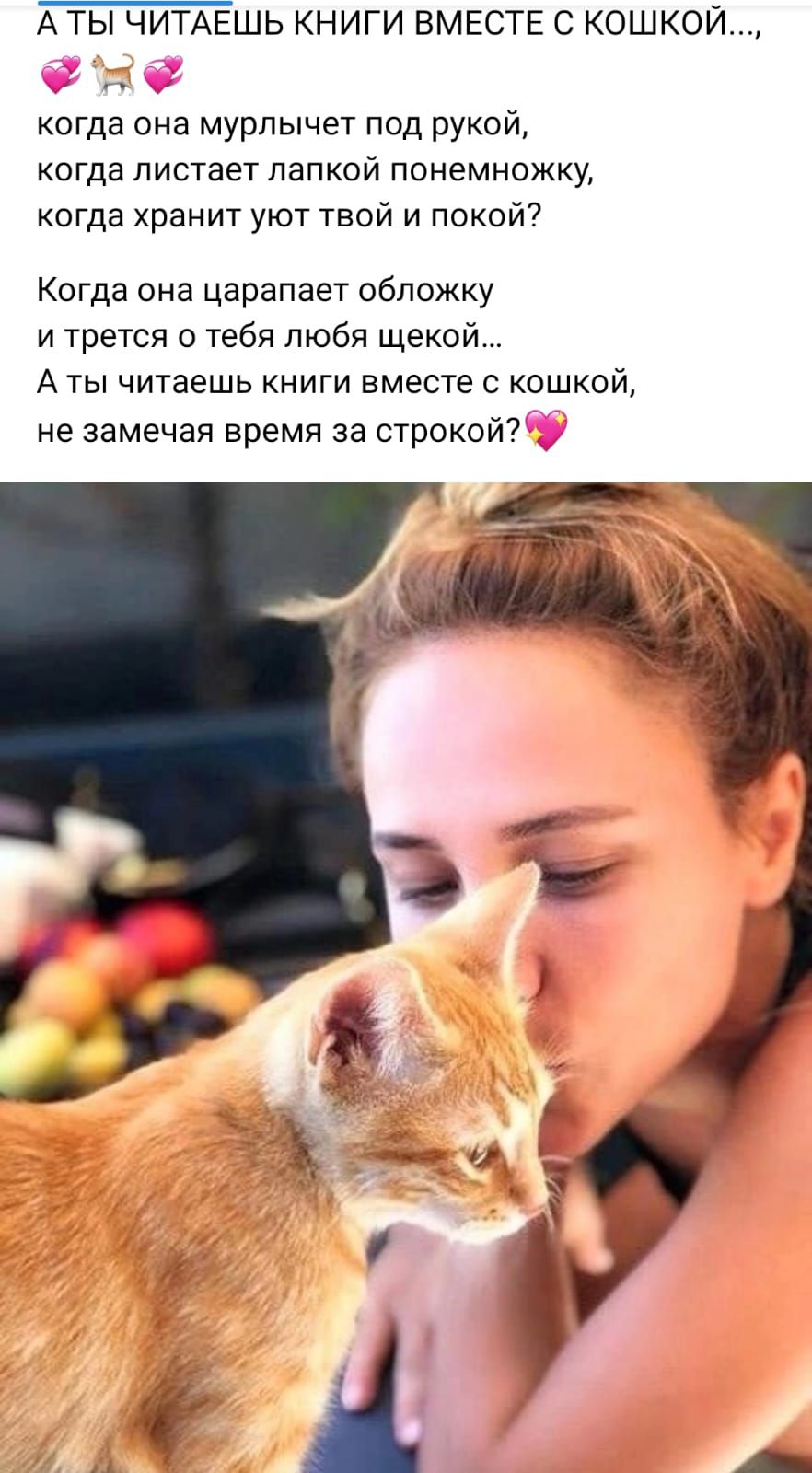 АТЫ ЧИТАЕШЬ КНИГИ ВМЕСТЕ С КОШКОЙ когда она мурлычет под рукой КОГДЗ пистает папкой ПОНЕМНОЖКУ когда хранит уют твой и покой Когда она царапает обложку и трется о тебя любя щекой А ты читаешь книги вместе с кошкой не замечая время за строкой