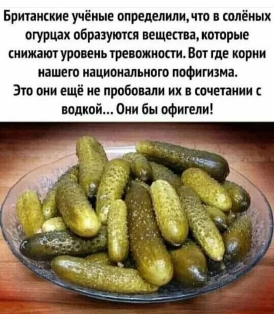 Британские учёные определилнчто в солёных огурцах образуются вещества которые снижают уровень тревожности Вот где корни нашего национального пофигизма Это они ещё не пробовали их в сочетании с водкой Онн бы офигели