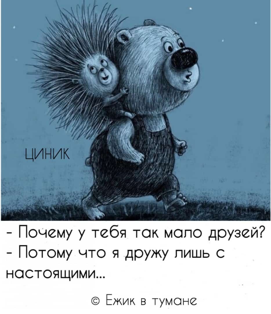 Почему у тебя так мало друзей Потому что я дружу лишь с настоящими Ёжик в тумана