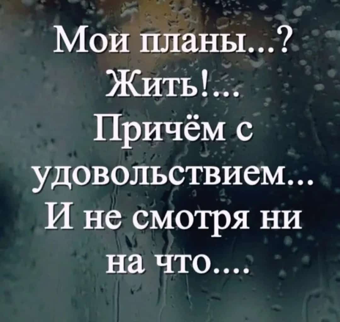 Мои планы Жить Причём с удовольствием И не смотря ни на что