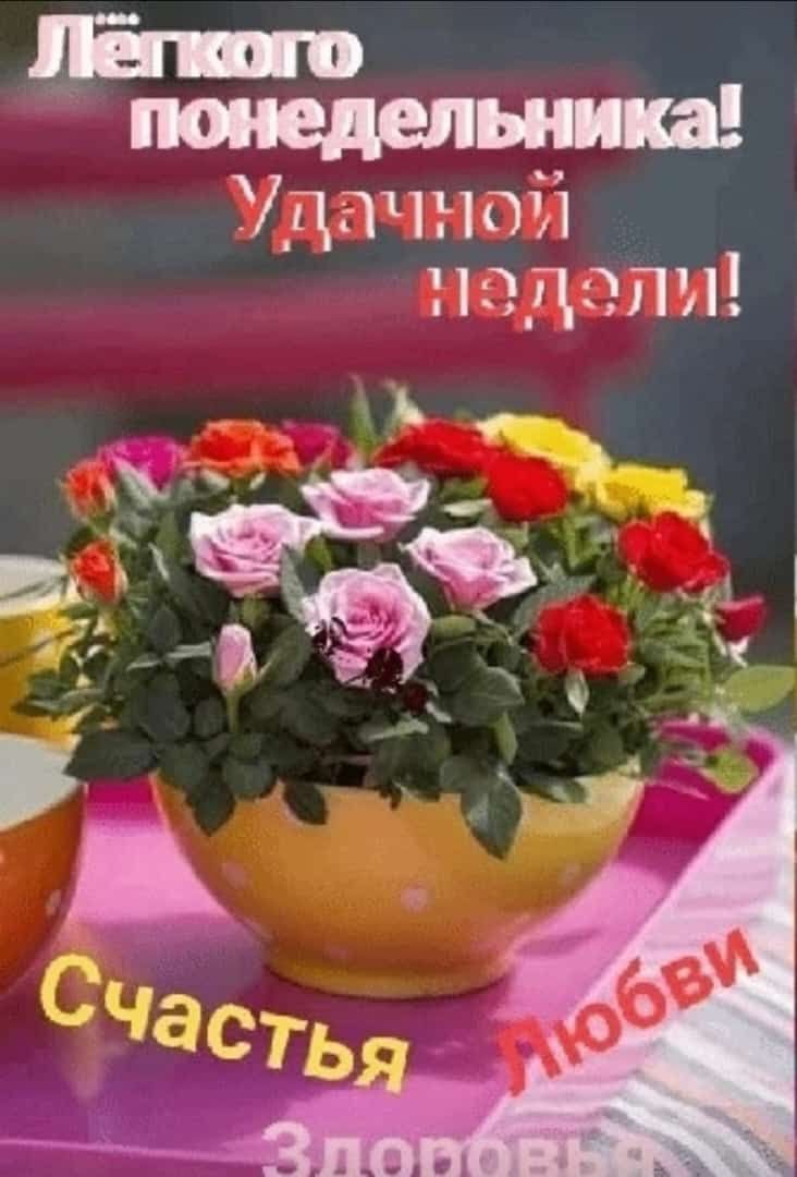 ЛБ щепы ш Удачной под эли
