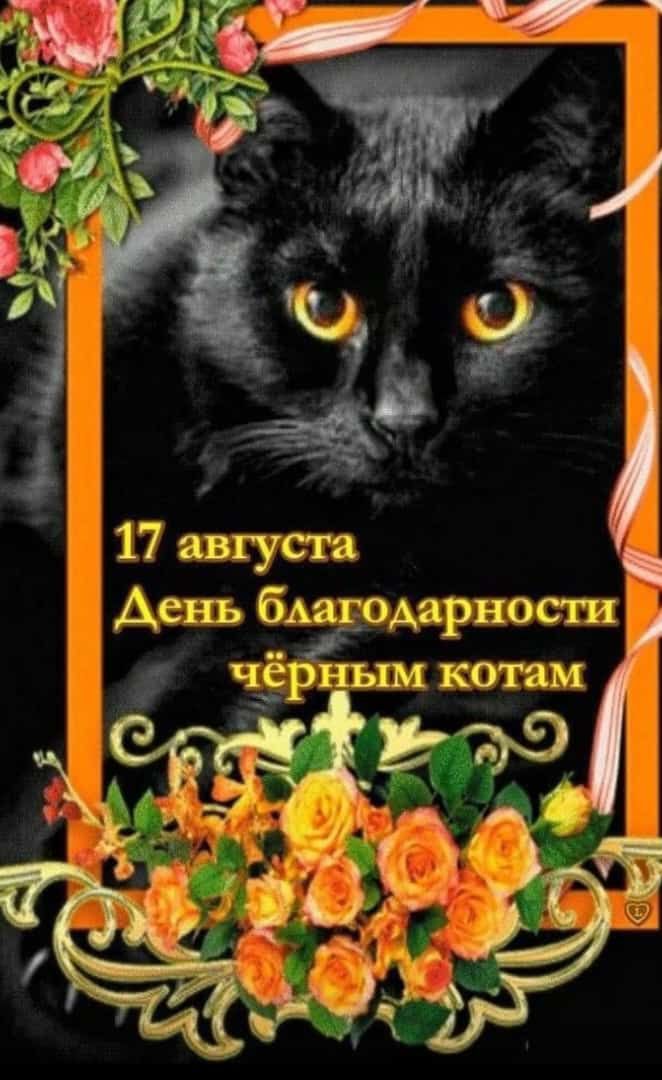 17 августа 2 День бАагоАаРноСш ЧЁРНЬШ КОТЯМ тгтэ