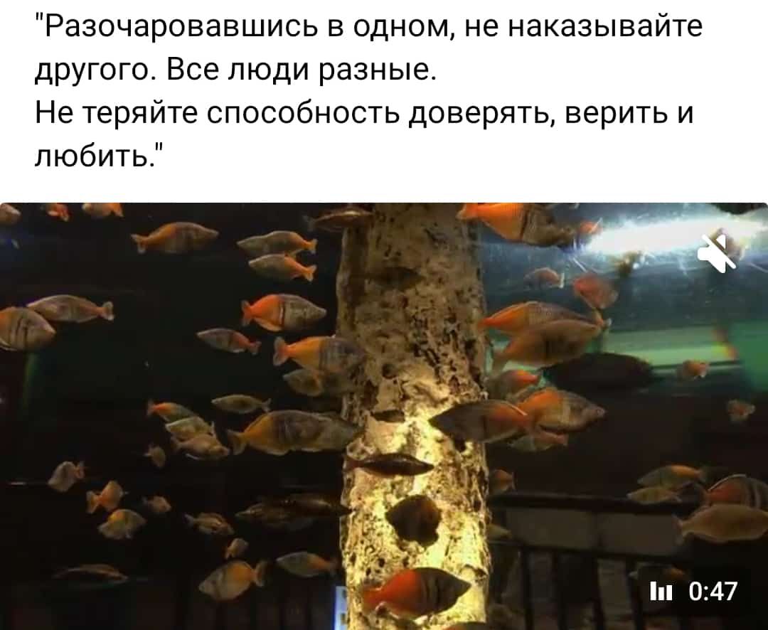Разочаровавшись в одном не наказывайте другого Все люди разные Не теряйте способность доверять верить и любить 047