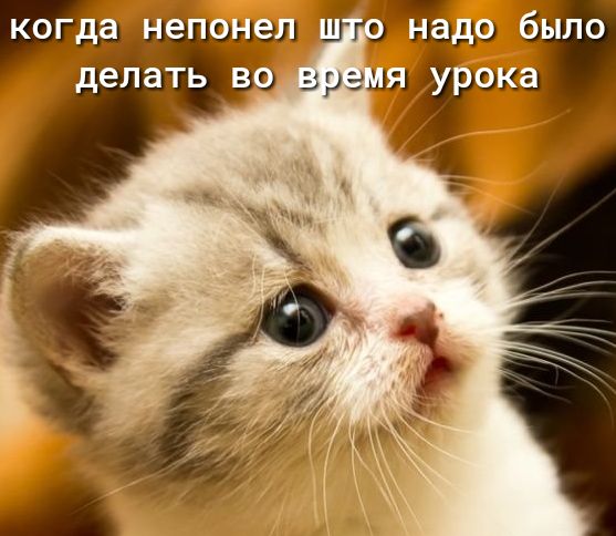 нал Ёгё г д лелёіть во время