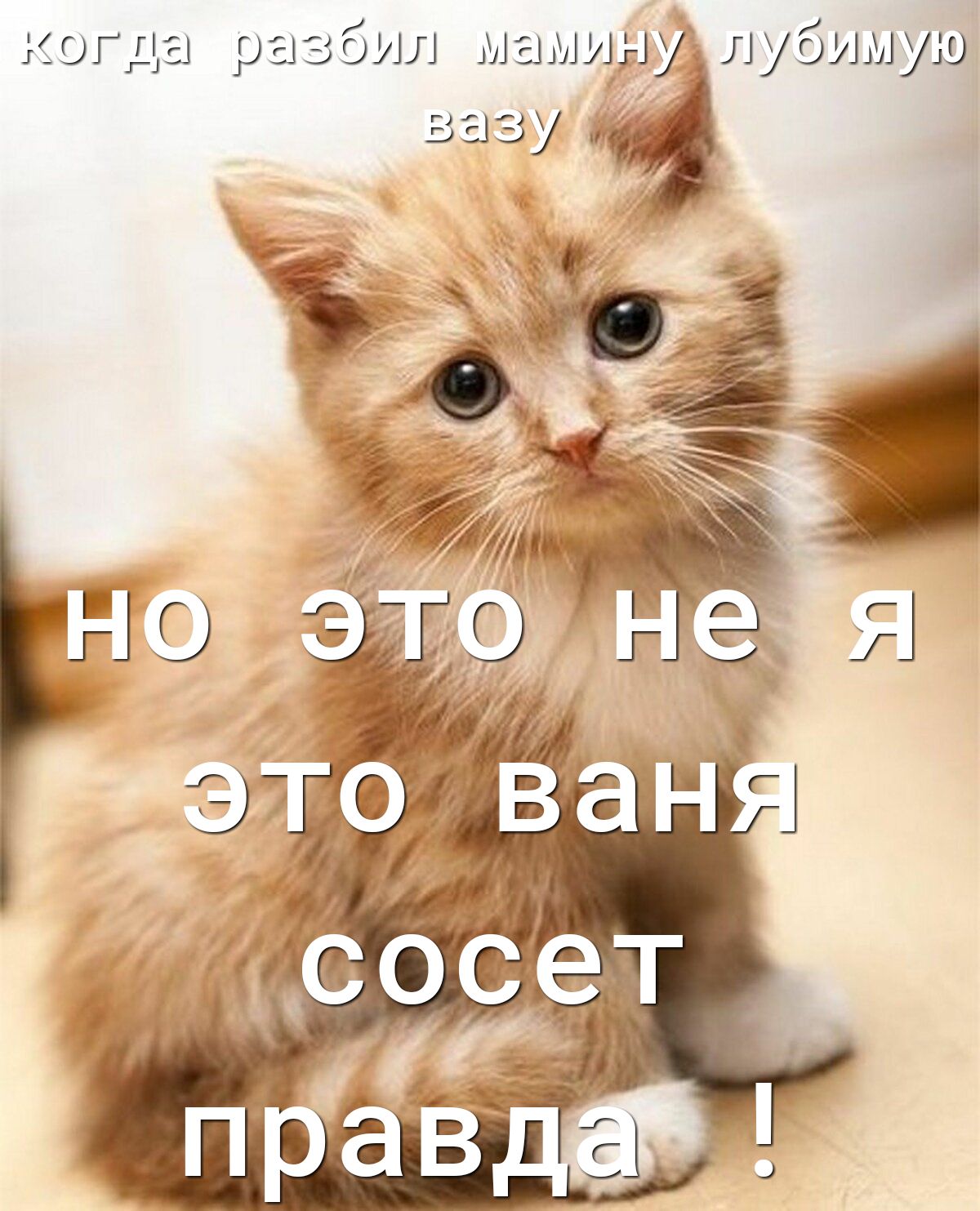 когда разбил мамщнУёлубимую