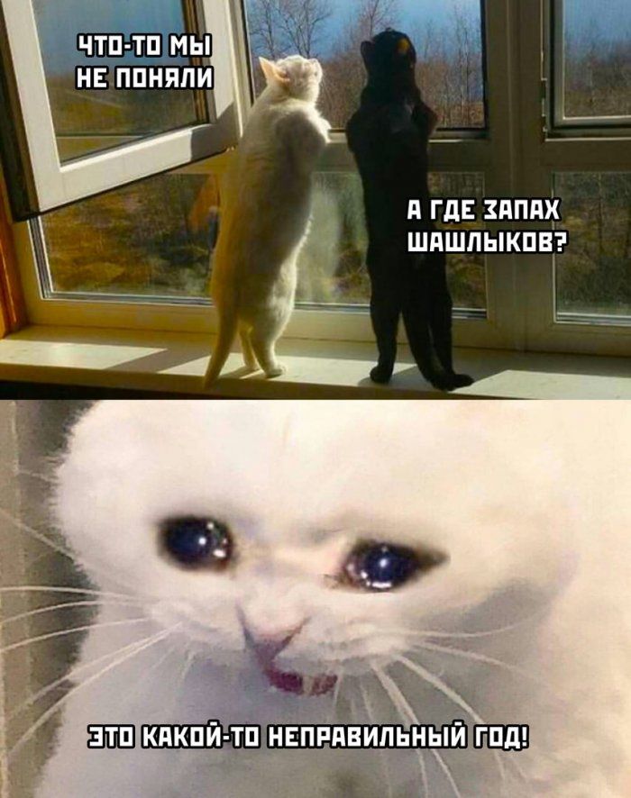 ЧТП ТП МЫ НЕ ППНЯПИ д ГдЕ ЗПППХ ШдШПЫКПВ ккпй_ тп нвпвдвИдьны гпд