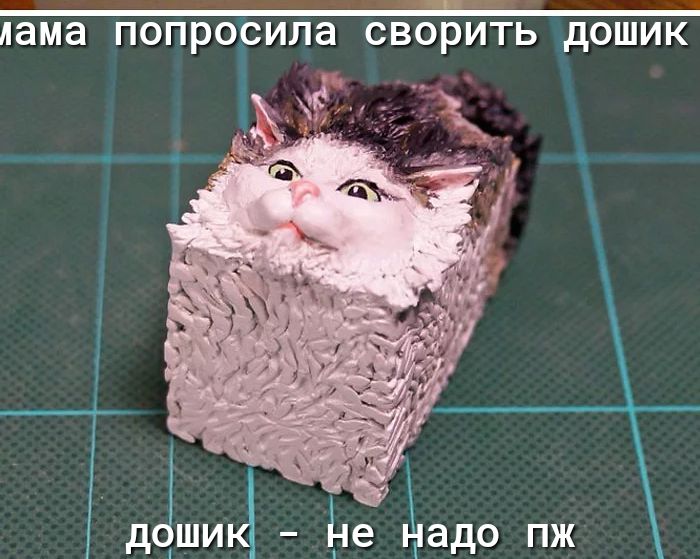 лама попросила СВОРИТЬ дОШИК