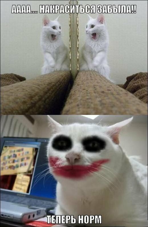 ШЁЕП ЬПШШЦП _ус