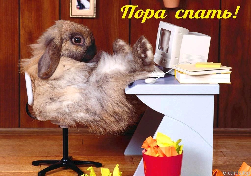 е сапіздці