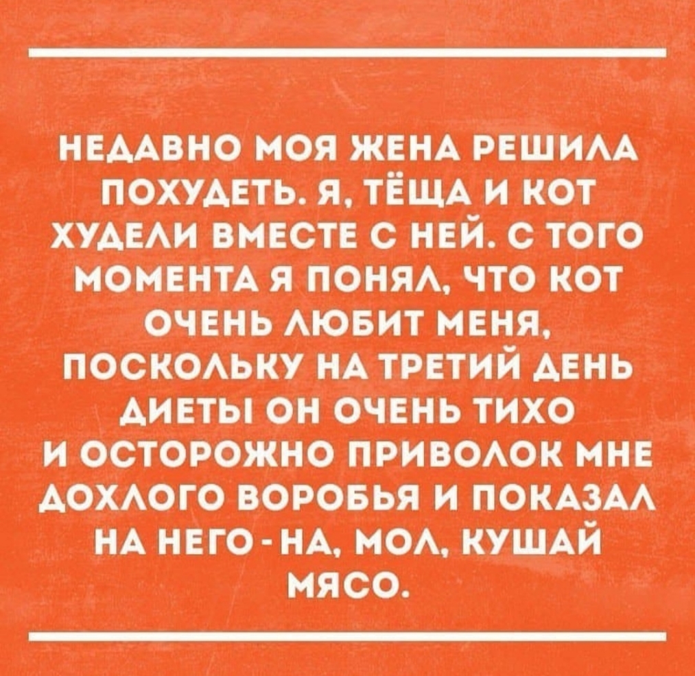 тимати астигматизм шипелвшст нашинковать ш шпоне штото поддержавшим ттжитид штамма