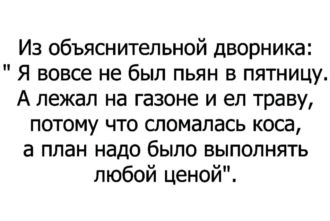Из объяснительной дворника Я вовсе не был пьян в пятницу А лежал на газоне и ел траву потому что сломалась коса а план надо было выполнять любой ценой