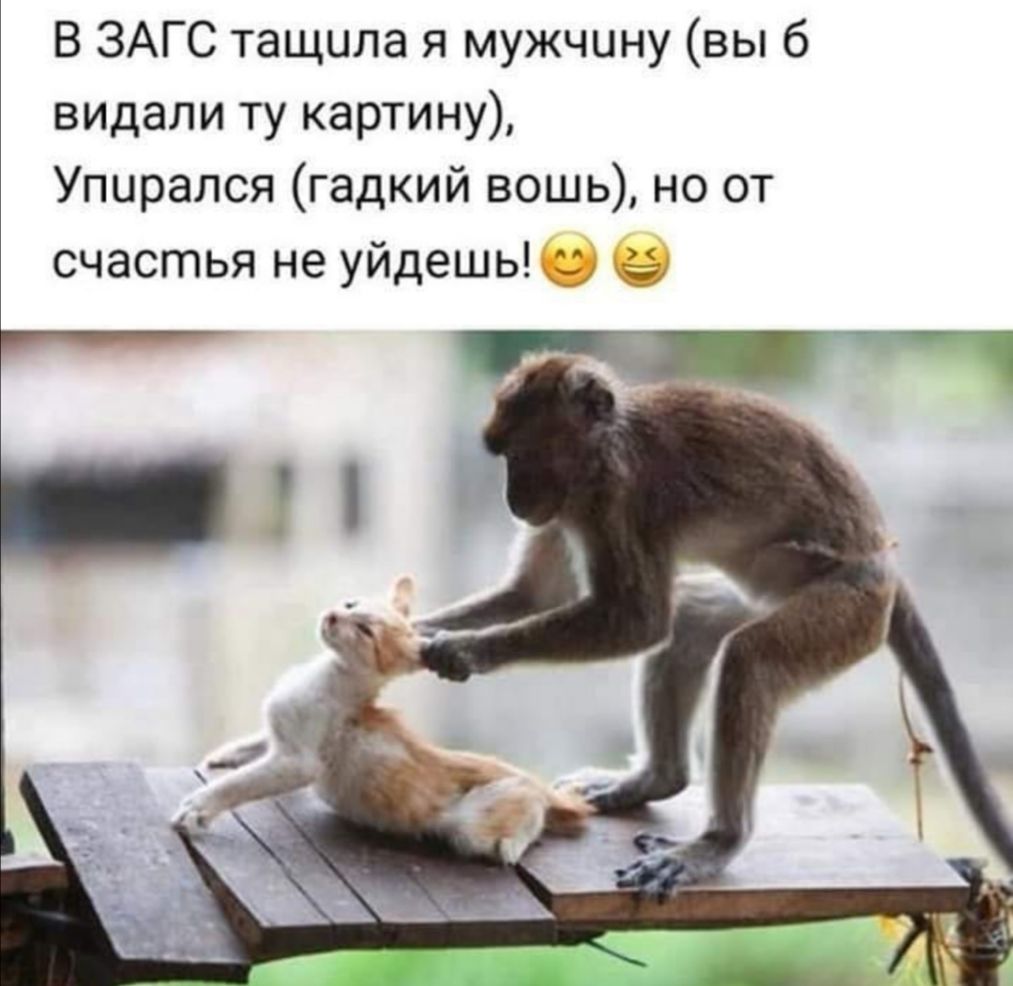 В ЗАГС тащила я мужчину вы 6 видали ту картину Упирался гадкий вошь но от счастья не уйдешь т