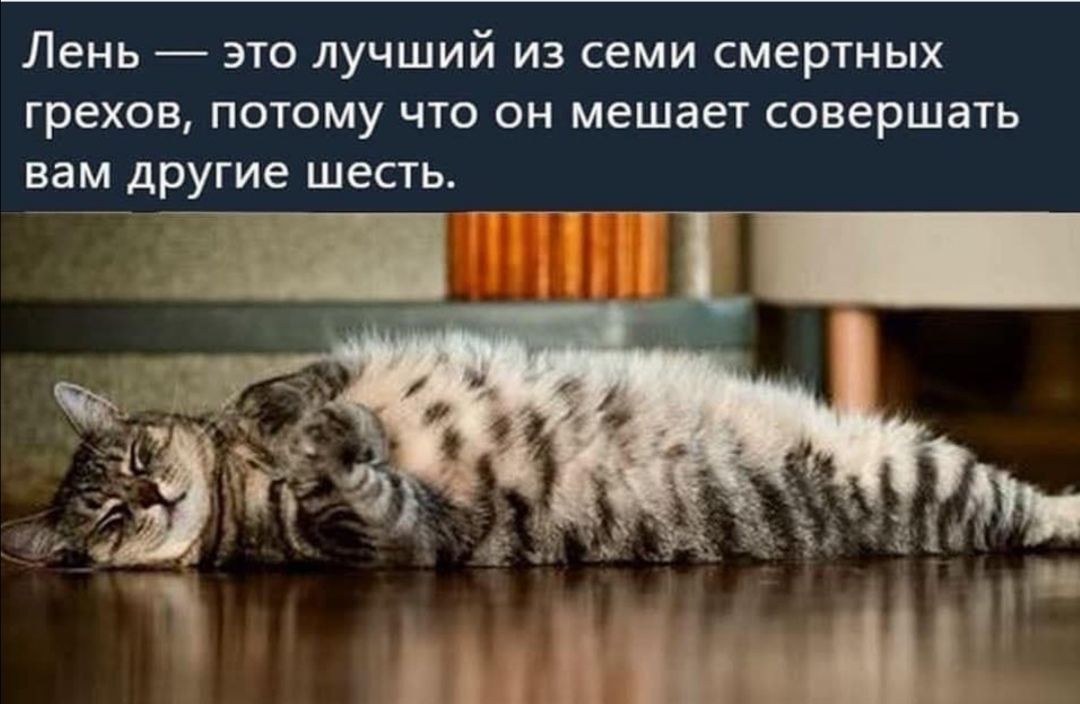 ЛЕНЬ ЭТО ЛУЧШИЙ ИЗ СЕМИ СМЕРТНЫХ Грехов ПОТОМУ ЧТО ОН мешает совершать вам другие ШЕСТЬ