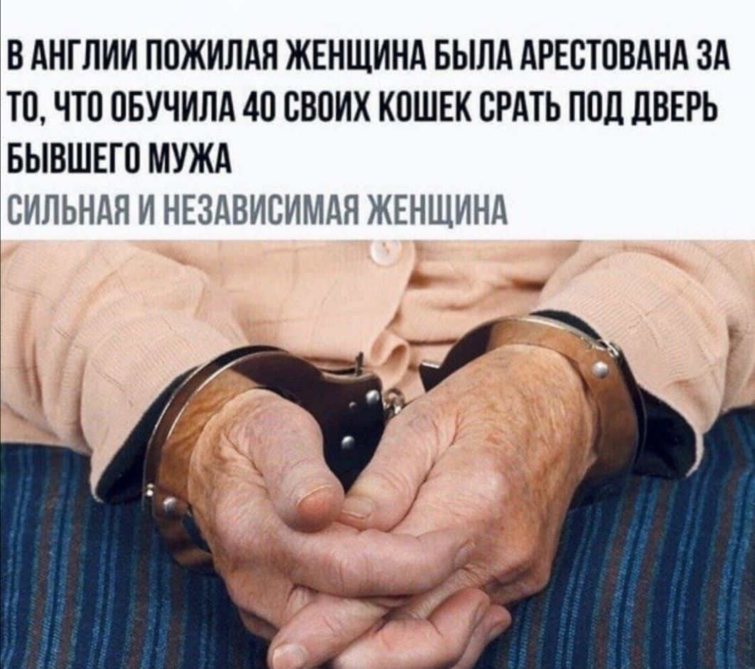В АНГЛИИ ПОЖИЛАЯ ЖЕНЩИНА БЫЛА АРЕСТОВАНА ЗА ТО ЧТО ПБУЧИЛА 40 СВОИХ КОШЕК БРАТЬ ПОД ЦВЕРЬ БЫВШЕГО МУЖА СИЛЬНАЯ И НЕЗАВИСИМАЯ ЖЕНЩИНА