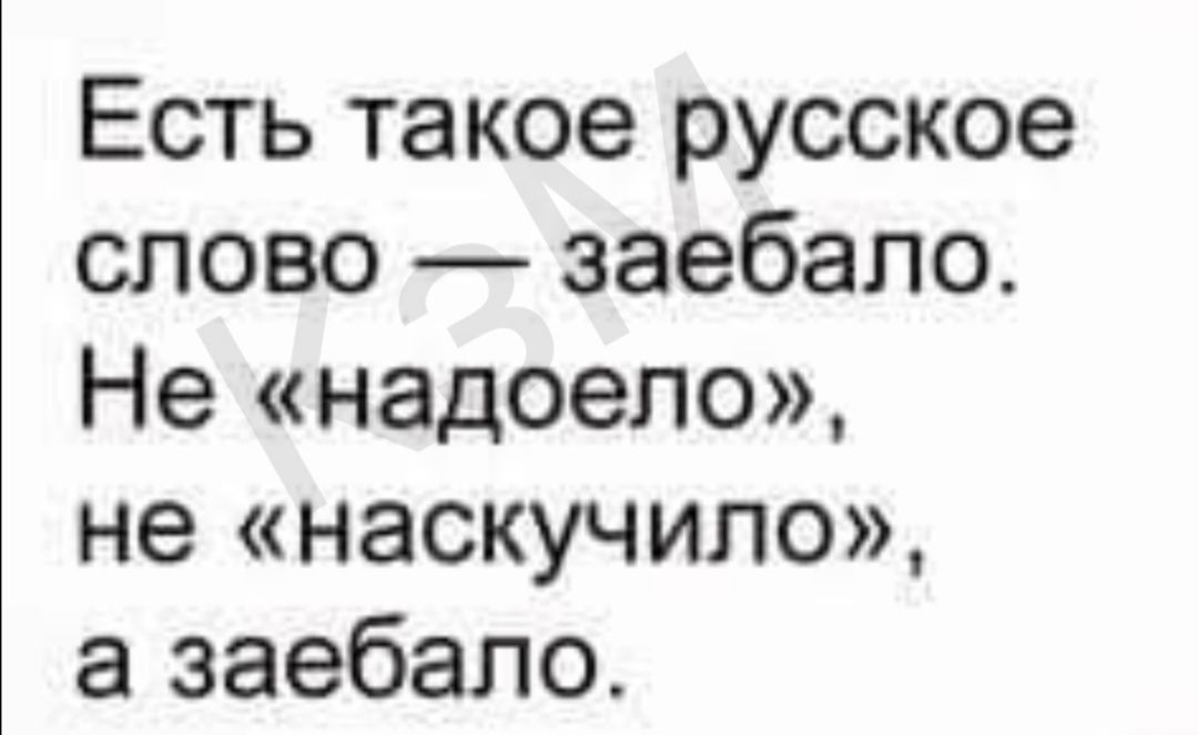 Есть такое русское слово заебало Не надоело не наскучило а заебало