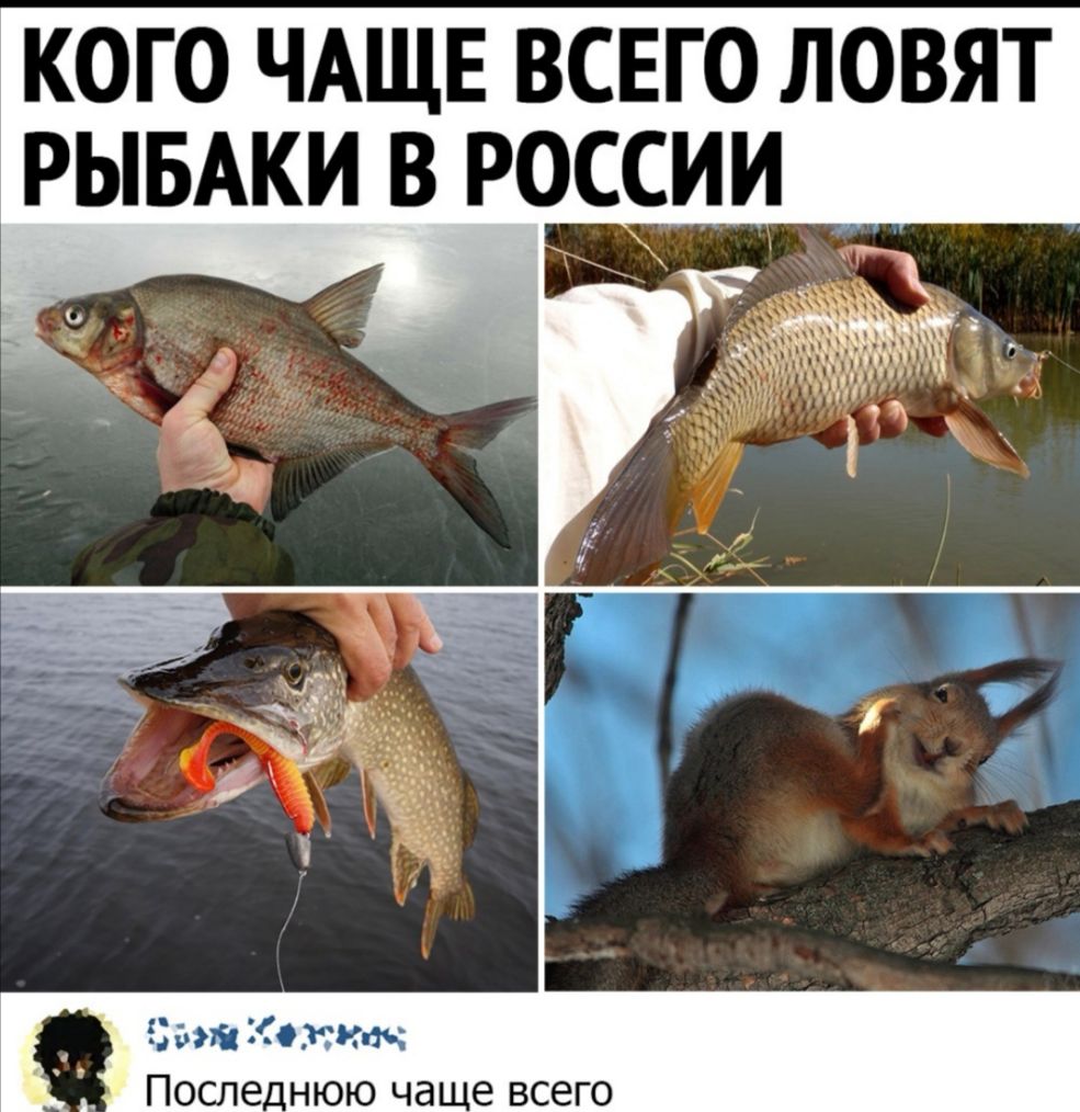кого ЧАЩЕ всего ловят РЫБАКИ в РОССИИ Ц Читати зв После_нюю ча е всего