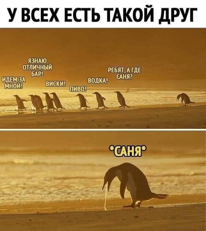 У ВСЕХ ЕСГ Ь ТАКОЙ дРУГ язнмо _ ОТЛЁЪЁЧЫИ рввят А ГДЕ идётЁ висит водим Ш 3530