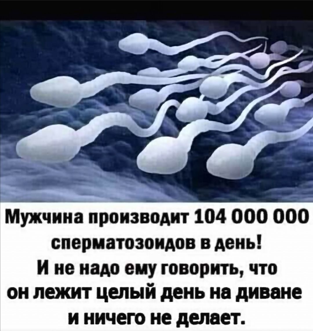 Т мужчина производит 104 000 000 сперматозонидов в день! И не надо ему говорить, что он лежит целый день на диване и ничего не делает.