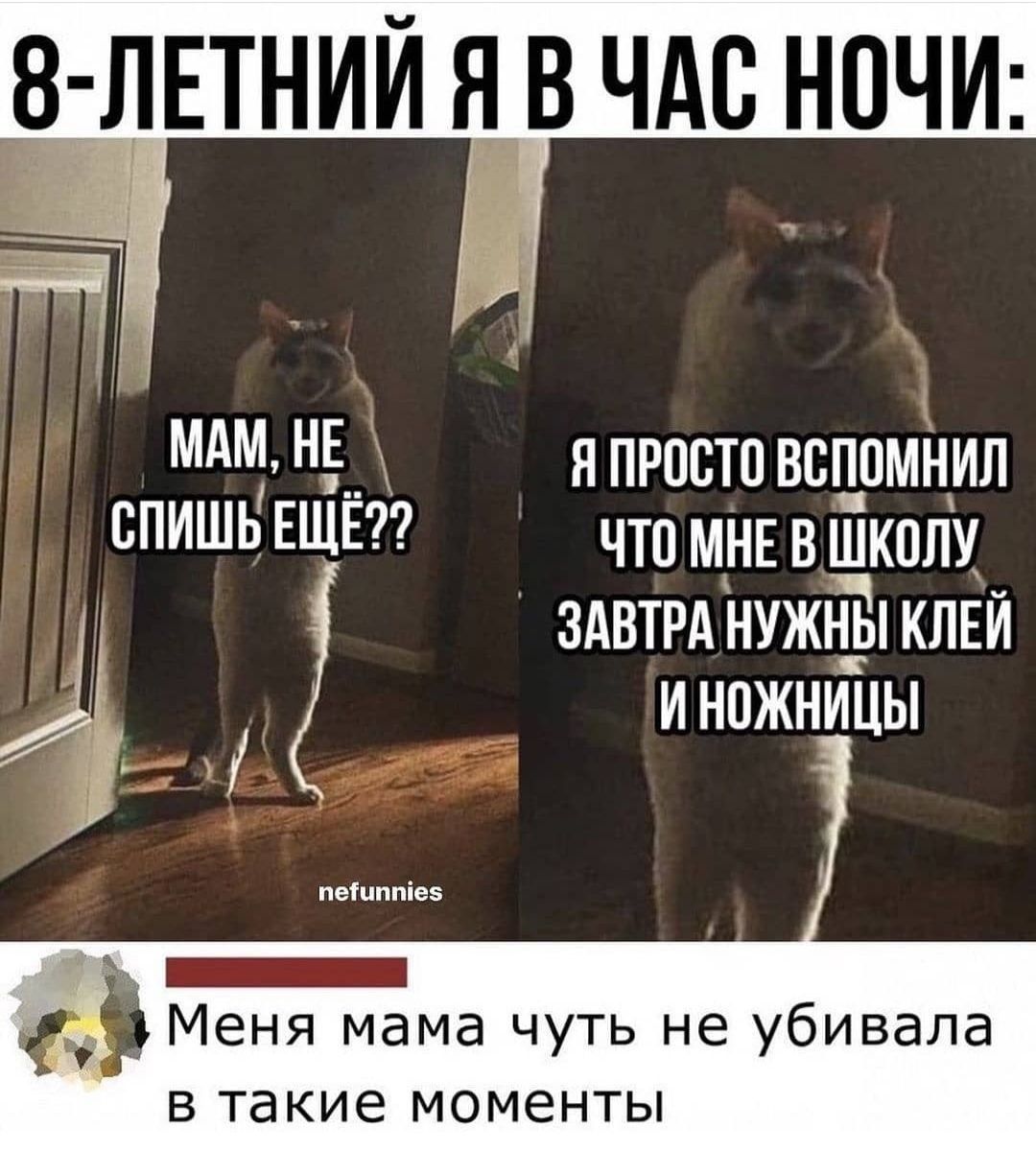 ЕТНИЙ Я В ЧАС НОЧИ МАМ НЕ Я ПРОСТО ВВППМНИЛ сПИШЬЕЩЁ ЧТПМНЕВШКОЛУ здвтрд нужны КЛЕЙ и ножницы Меня мама чуть не убивала в такие моменты