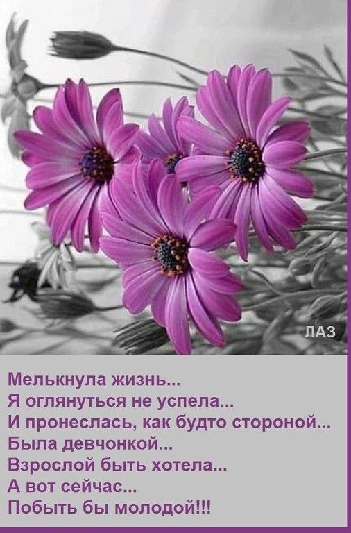 Мелькнула жизнь Я оглянуться не успела И пронеслась как будто стороной Была девчонкой Взрослой быть хотела А вот сейчас Побыть бы молодой