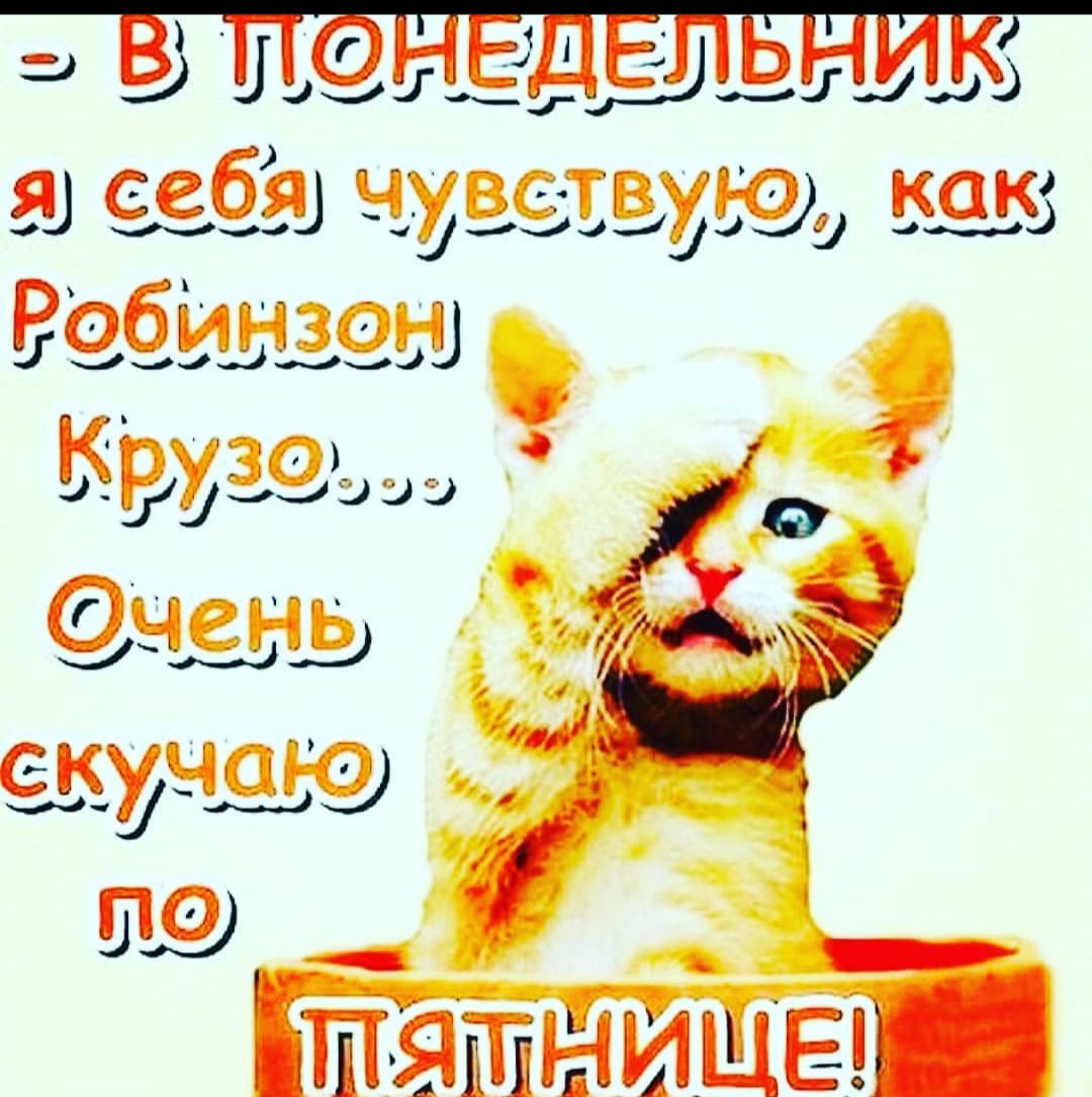 Э в понедельние я себя чувству!ю, как;