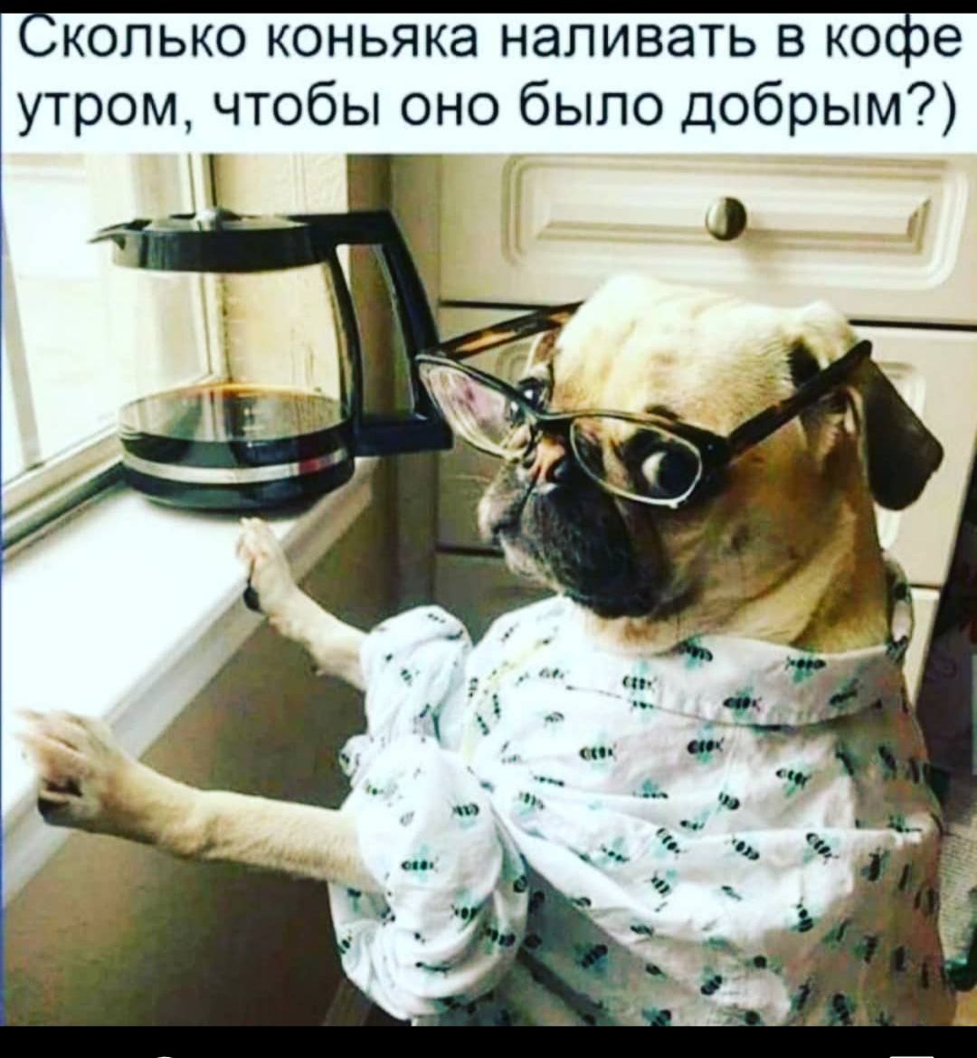 СКОЛЬКО КОНЬЯКЭ НЭЛИВЭТЬ В кое утром чтобы оно было добрым