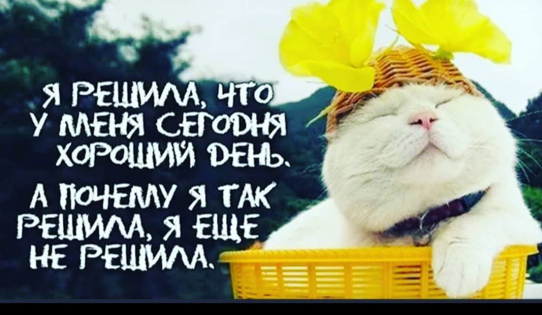 т ч Я РЕ СЕГОПЫ у И ВЕН ЮЧЕМУ Я ТЖ РАЕШИАА Я ЕЩЕ НЕ РЕШИАА